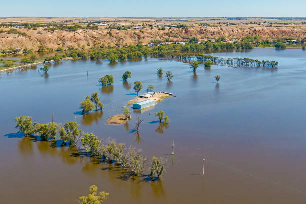 vista aerea di edifici agricoli isolati dalle acque alluvionali del fiume murray, australia meridionale - floodwaters foto e immagini stock