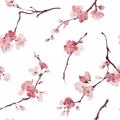 Watercolor blooming cherry branches seamless pattern on white background. Hand drawn pink spring blossom tree floral seamless background.