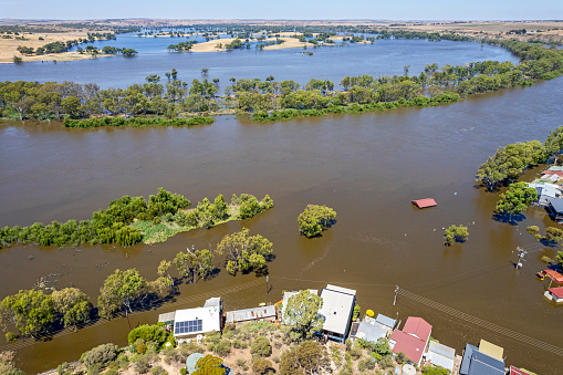 Aerial view of small River Murray community of Caloote inundated by rising floodwaters. The picnic area is underwater with facilities submerged, including the public toilets. The normally popular public park area is a bay of muddy floodwater from the rapidly flowing river in the background. Houses and shacks flooded in right of frame. Huge lake formed from inundated floodplain in top of frame. Jan 12, 2023, compare with Dec 17, 2022 (ID: 1455472542)