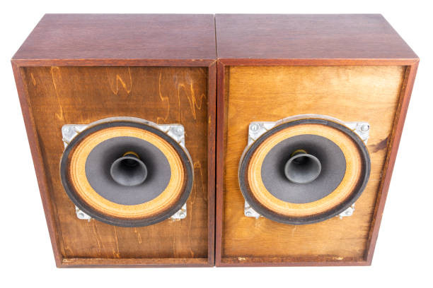 istock Two vintage speakers with full range drivers 1456365279
