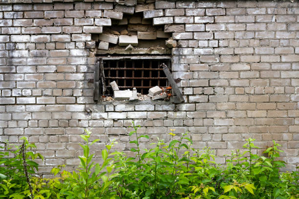 istock The abandoned house overgrown with bushes 1456366007