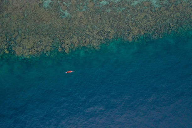 istock Fishing Boats 1456372305