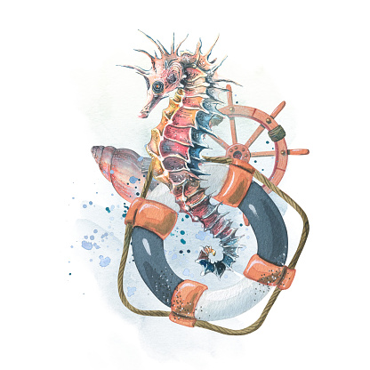 A seahorse with a lifebuoy, a steering wheel and shells on a background of watercolor washes and splashes of paint. Illustration, composition from the SYMPHONY OF THE SEA collection. For decoration.