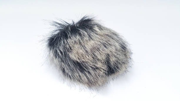 istock Close up of deadcat microphone is isolated on white background. Deadcat windshield. 1456377923