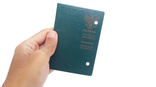 hand with expired indonesian passport. the passport is cancelled by punching two holes in the cover - kaartjesknipper stockfoto's en -beelden