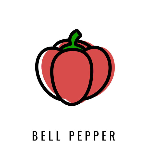 Bell Pepper color Icon. Vector illustration Paprika in Line style. Isolated Vegetables Logo. Bell Pepper color Icon. Vector illustration Paprika in Line style. Isolated Vegetables Logo. Stylish solution for app or website. red bell pepper stock illustrations