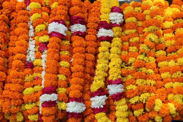 istock Indian Flowers, New Delhi, India 1456383645