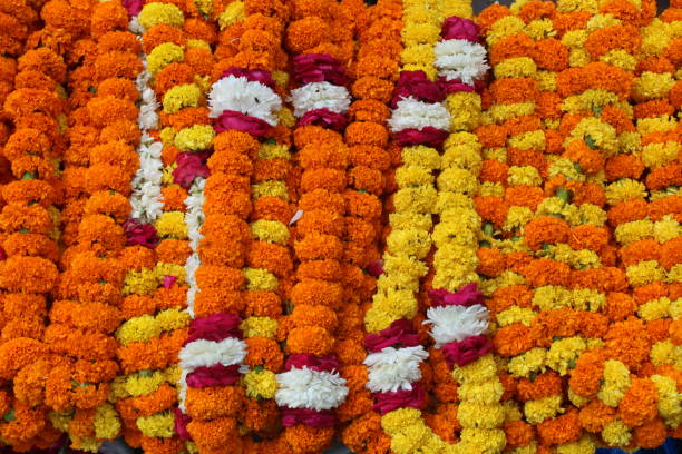 istock Indian Flowers, New Delhi, India 1456383653