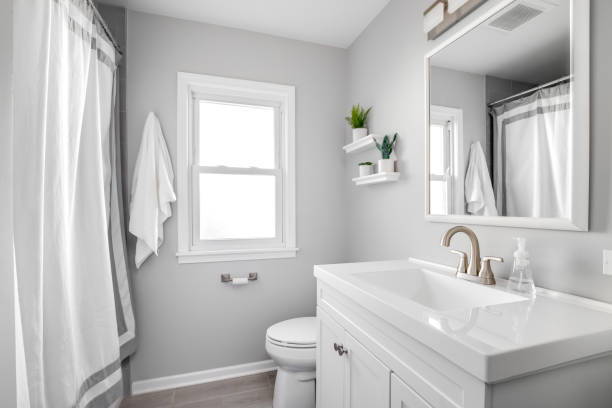 istock A bathroom with a white cabinet and plants sitting on floating shelves. 1456385339