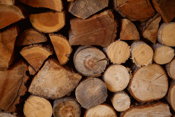 Chopped firewood stacked in rows close-up stock photo