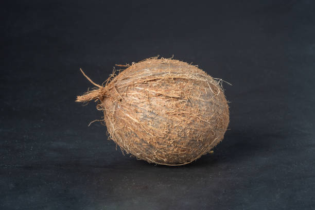 istock one ripe fresh coconut over dark background 1456386505