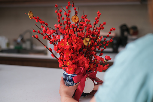 Close-up shot of unrecognizable woman preparing Chinese new year decoration. She's holding a vase with red fake plum flower