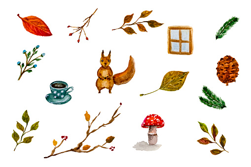 Autumn set with leaves and squirrel. Watercolor.
Leaves, pine cones, twigs, squirrel, cup of hot coffee, berries, mushrooms. Isolated on white background. Thanksgiving autumn decor.