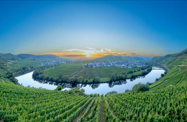 istock scenic moselle river loop at Leiwen, Trittenheim 1456390866