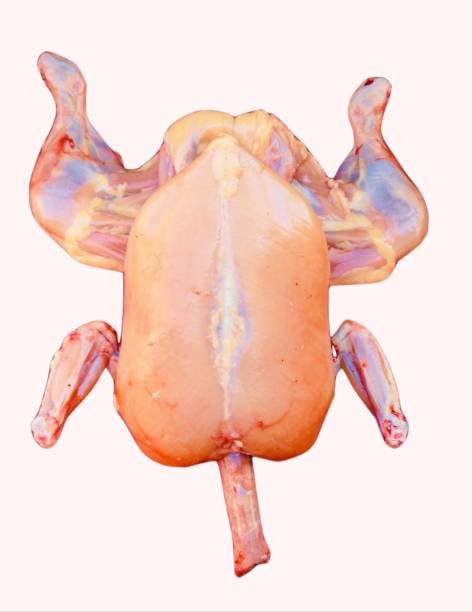 Whole raw skinless chicken without skin meat skin removed full-chicken white-meat murghi gosht raw-frango raw-poulet, food uncooked poultry-meat raw-pollo hen-meat bird-meat closeup image photo stock photo