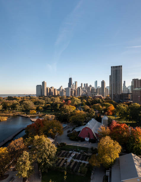 City skyline aerial photograph from Lincoln Park neighborhood with a barn and south pond surrounded by beautiful autumn foliage on the trees below. stock photo