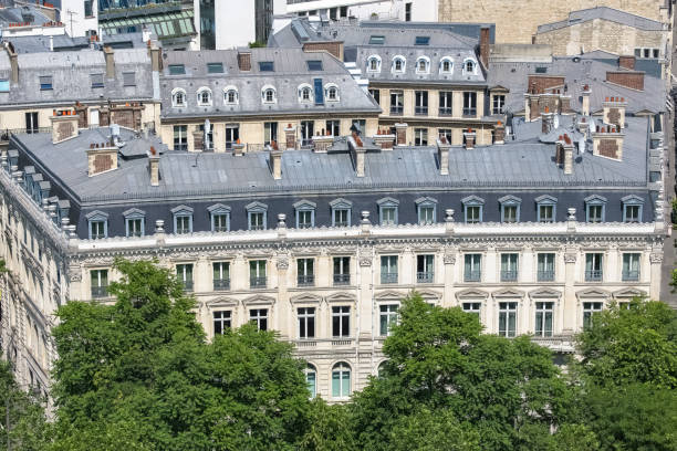 istock Paris, beautiful Haussmann facades and roofs 1456393220