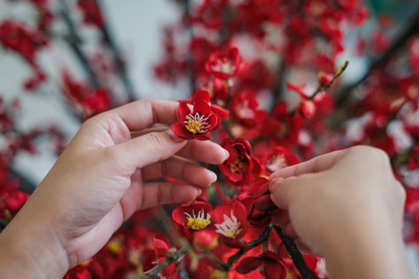Close-up shot of unrecognizable woman arranging plum flower decoration for Chinese new year