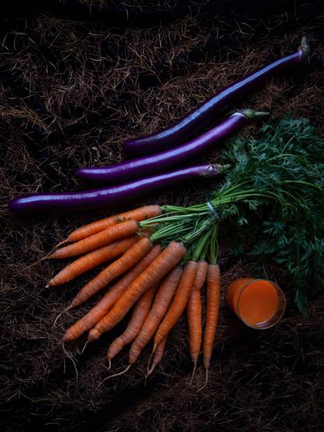 Vertical shot of a composition with fresh carrots and eggplants on a dark soil background