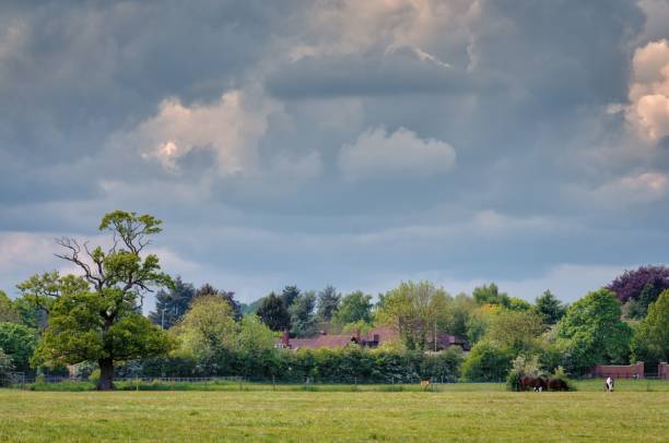 istock Rural grazing field with trees, horses and heavy thunder clouds in the background 1456397255