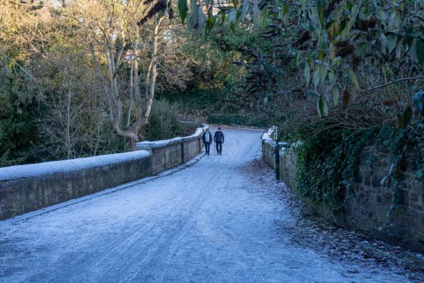 A walk, in the wintery weather, in Jesmond Dene, Newcastle upon Tyne, UK. NEWCASTLE UPON TYNE, United Kingdom – December 14, 2022: A walk, in the wintery weather, in Jesmond Dene, Newcastle upon Tyne, UK jesmond stock pictures, royalty-free photos & images