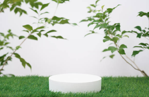 istock empty wooden podium texture on grass with tree branch fresh green leaf white space background.organic healthy natural product pedestal platform promotion show display,spring banner concept design. 1456399983
