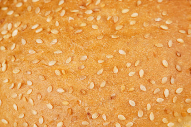 Fresh sesame bun for sandwiches, fresh soft round bun sprinkled with white sesame seeds