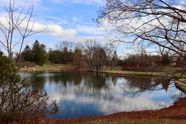 istock Lake in the Countryside 1456402074