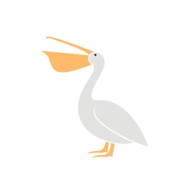 Vector illustration of Pelican logo. Isolated pelican on white background