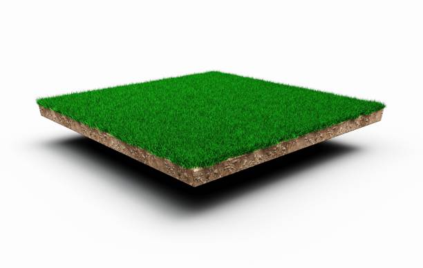 istock 3D rendering of a green grass field over the white background 1456408665