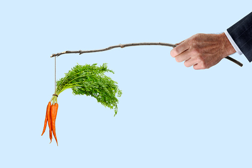 A man dressed dangles a bunch of carrots that are dangling from a stick isolated on a blue background.