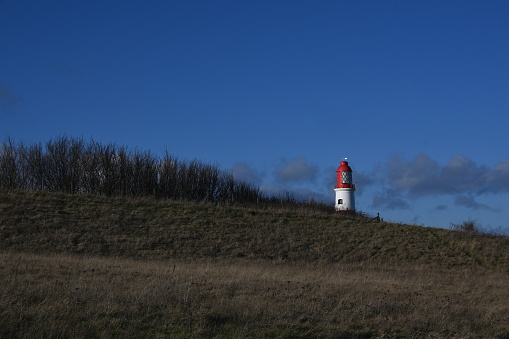 Red and white tower of Souter Point Lighthouse, North East England, seen behind tree lined embankment on bright and sunny winter afternoon