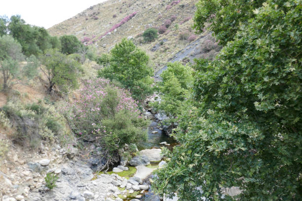 istock Plakias surroundings, Crete, Greece 1456425070