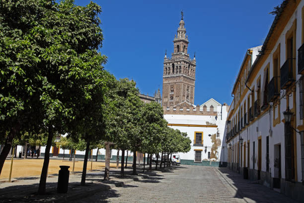 istock Cathedral of Sevilla. 1456427334