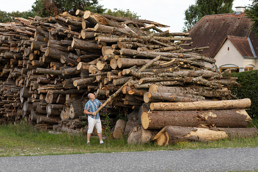 A man has stacked a huge pile of logs and is finishing work.