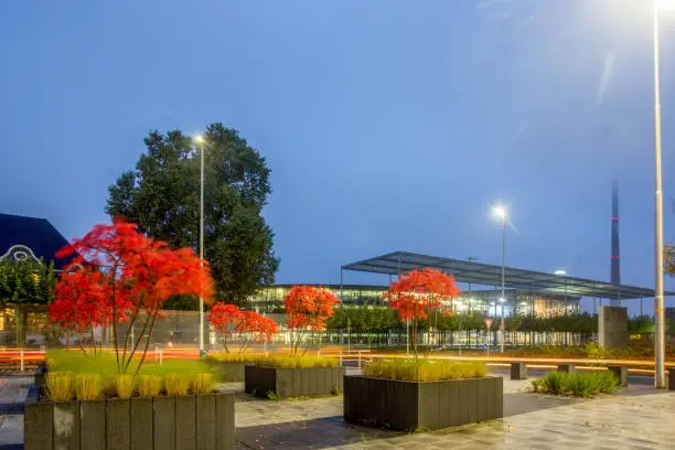amazing  autumn japanese maples in pots ( not sharp from wind at long exposure) and main office of company in Leverkusen  and factory pipe  in North Rhine Westphalia