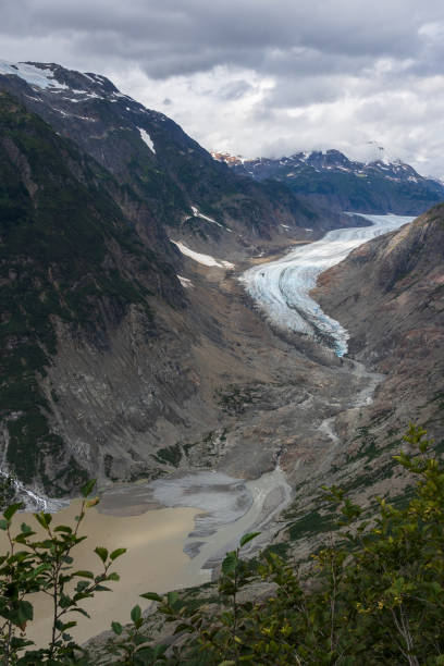 Salmon Glacier stock photo