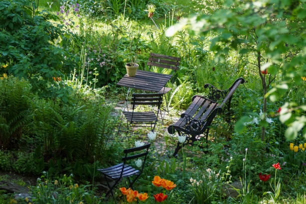 istock Empty chairs and plants in garden during summer 1456434282