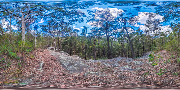 Spherical panoramic photograph of a rocky valley in a forest of eucalyptus trees in the Blue Mountains in New South Wales in Australia