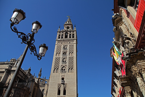 The Holy, Metropolitan and Patriarchal Cathedral Church of Santa María de la Sede y de la Asunción in Seville; better known as Seville Cathedral, it is a Gothic-style Catholic temple.