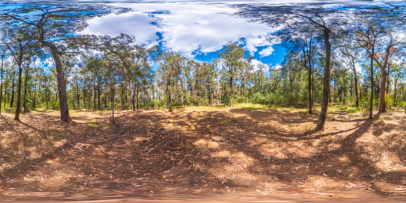 Spherical panoramic photograph of The Oaks Picnic Area located on the Oaks Fire Trail in the Blue Mountains in New South Wales in Australia