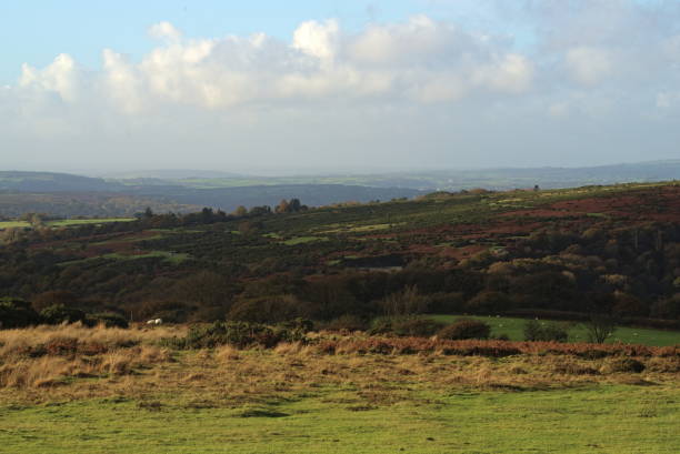 istock Views of Dartmoor. 1456443959