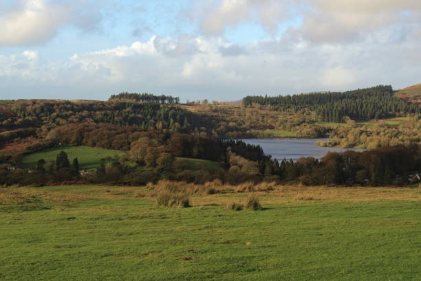 istock Views of Dartmoor. 1456444034