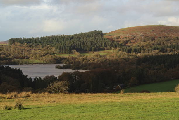 istock Views of Dartmoor. 1456444332