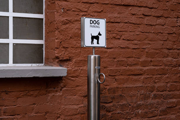 Outdoor dog parking sign. Window and brick wall on background. Copy space for text.