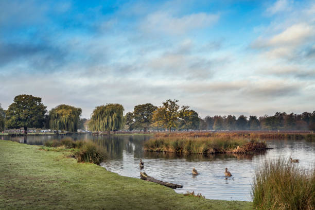 istock Surrey pond close to carpark 1456450205