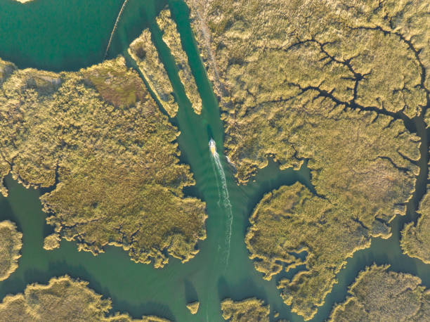 istock Aerial View of Dalyan Delta 1456451454