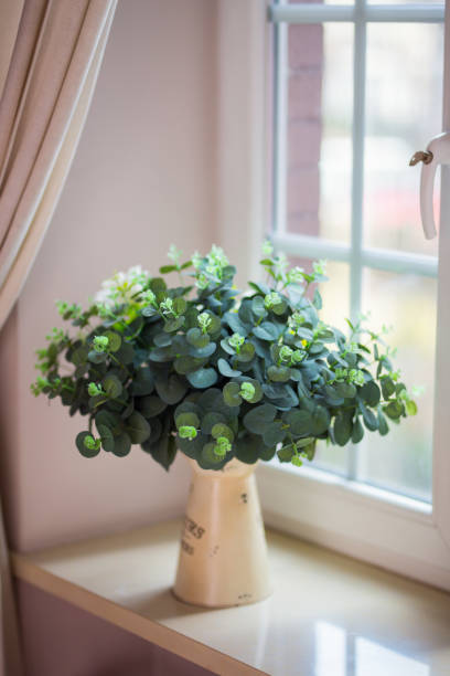 istock Cretan dittany plant in a vase 1456451609