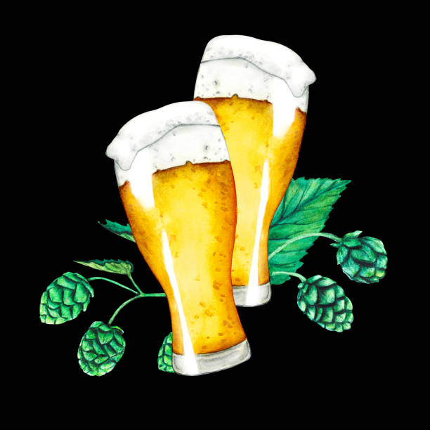 Fresh green hop. Glass of beer. Watercolor hand drawn illustration for October. Sketch on a black background for ornament or any design Fresh green hop. Glass of beer. Watercolor hand drawn illustration for October. Sketch on a black background for ornament or any design. Hop cones for making beer and bread. water colour beer hops stock illustrations