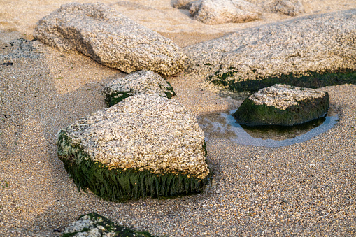 rocks on the beach of the sea